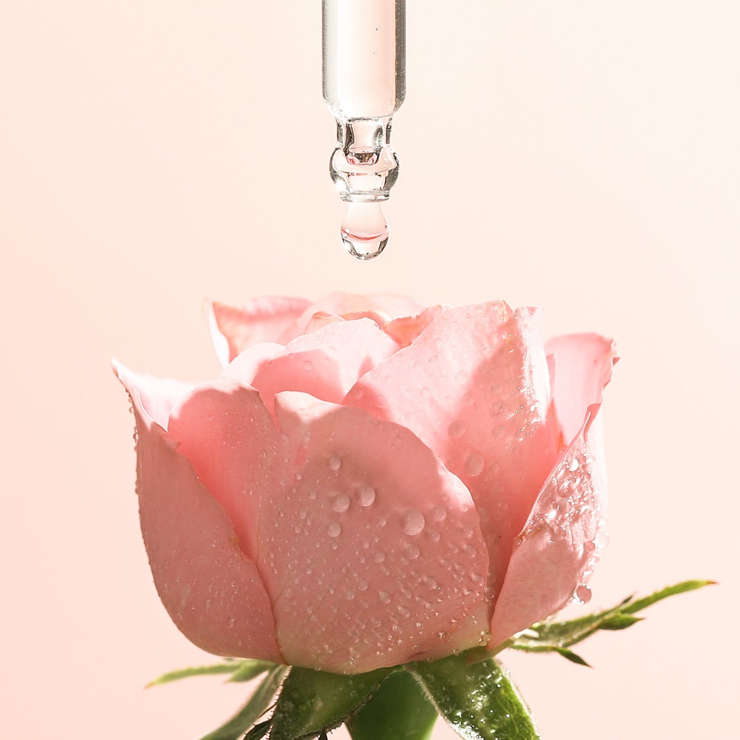 Rose Serum, 30ml
