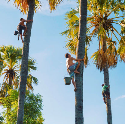 An Giang Palmyra Palm Sugar Body Polish, 200 ml