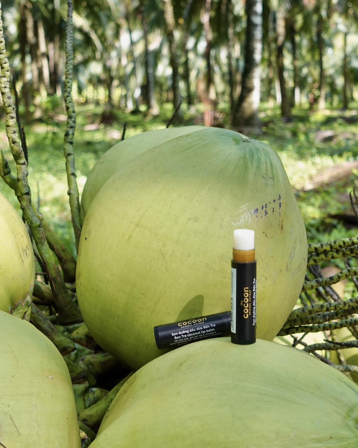 Coconut Lip Balm, 5g - 100% Vegan